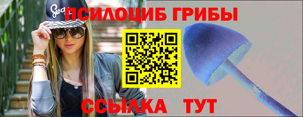 что такое   Вход с VPN  Александров  Галлюциногенные грибы ЛСД  Галлюциногенные грибы Psilocybine cubensis 