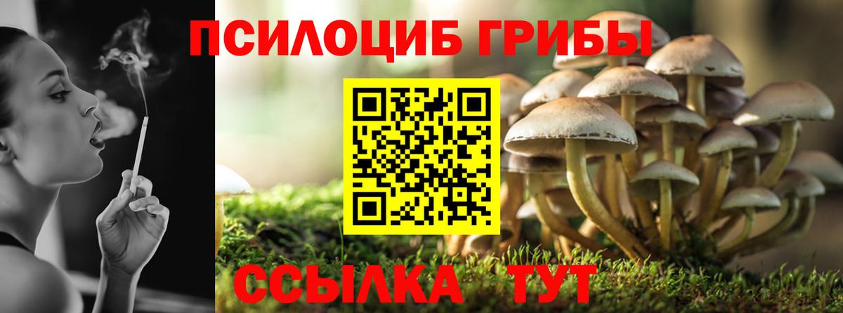 Псилоцибиновые грибы мухоморы Александров